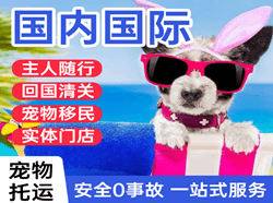 佳木斯东郊机场托运国际宠物托运 【国